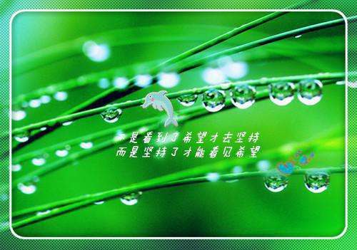 重生后向养女复仇孟夏孟雪一口气看完_书荒时期必读情感力作孟夏孟雪《重生后向养女复仇》