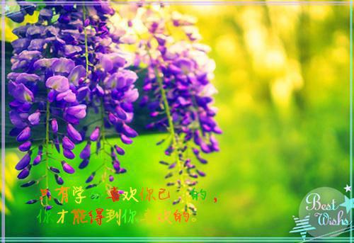 爱在选择前消散：在线免费（林知沐沈如璋）全文免费_（林知沐沈如璋）爱在选择前消散：在线免费后续阅读（林知沐沈如璋）