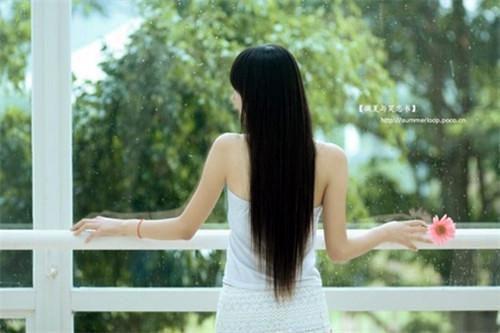 最新章节此去经年人未还：一口气读完（沈青禾霍沉洲周雪芙）_此去经年人未还：一口气读完沈青禾霍沉洲周雪芙最新章节