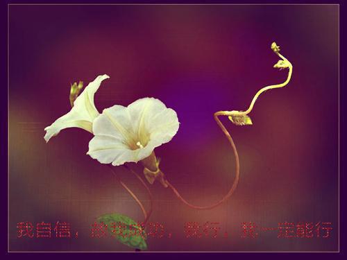 重生后，我拯救霸总全家（温明婳沈之衍）全文免费_（温明婳沈之衍）重生后，我拯救霸总全家后续阅读（温明婳沈之衍）