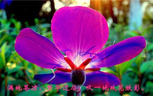 (番外)+(结局)温穗（惊觉相思不露后续）全文免费阅读无弹窗大结局_(温穗)最新章节列表_笔趣阁（惊觉相思不露后续）