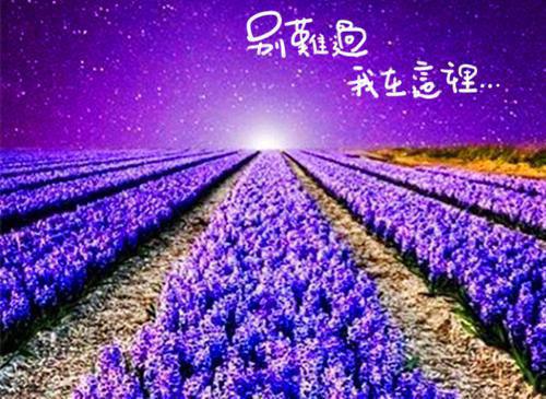完结文全家骗我做开颅手术，让妹妹替上清华最新章节列表_完结文全家骗我做开颅手术，让妹妹替上清华全文免费阅读（宋钰柔蒋楠侨）