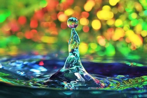 完结文执念已散，皆因自取最新章节列表_完结文执念已散，皆因自取全文免费阅读（苏晓棠顾星野）
