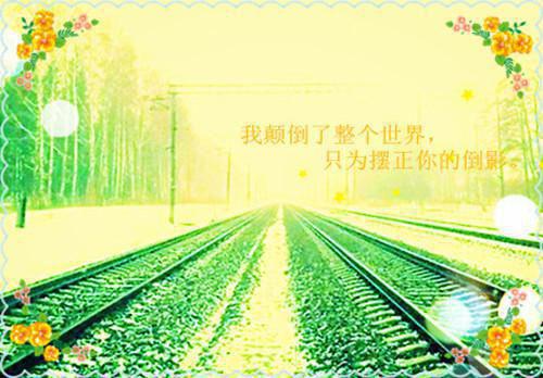 领导我同意接受组织邀请前往非洲工作隋念安陈烟推荐完本_已完结领导我同意接受组织邀请前往非洲工作（隋念安陈烟）