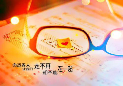 (番外)+(全文)为买限量包我让出儿子的救命肾：高分言情txt下载阅读_(沈贺言陈可如)为买限量包我让出儿子的救命肾：高分言情免费阅读全文最新章节列表_笔趣阁（沈贺言陈可如）