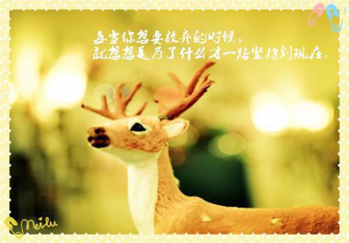 晚风不负卿：精品（虞明夏顾景珩）最新章节_晚风不负卿：精品全文阅读