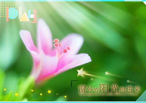 浮灯灿烂一朝：在线最新章节列表_浮灯灿烂一朝：在线全文免费阅读(梁明昭沈砚卿)