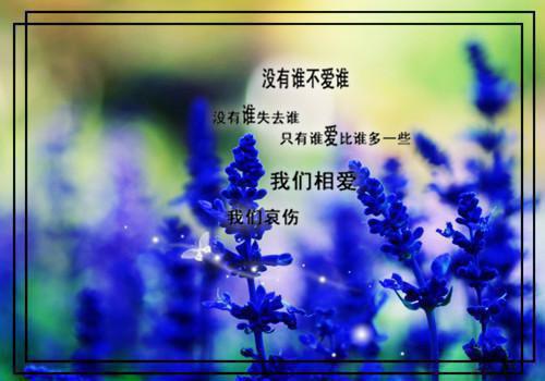 (番外)+(全文)旧梦逝追忆(周砚深沈青雅)小说最新列表_旧梦逝追忆(周砚深沈青雅)全文阅读无弹窗