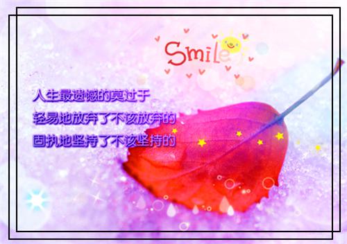 我自向阳而生（越腾李莲儿）全文免费_（越腾李莲儿）我自向阳而生后续阅读（越腾李莲儿）