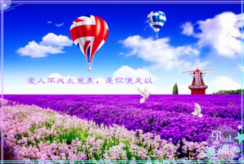 他与旧约风月难追：结局+番外必读林倪思许云峥林蕊思推荐完本_已完结他与旧约风月难追：结局+番外必读（林倪思许云峥林蕊思）