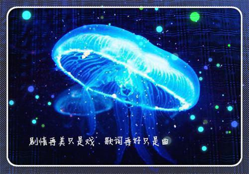 我在回忆里万劫不复：高分完本全文阅读（谢梵声秦见鹿）最新章节_我在回忆里万劫不复：高分完本全文阅读