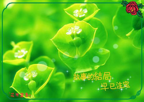 枯禅不渡负心人：后续结局全文阅读（谢惊澜沈昭宁）最新章节_枯禅不渡负心人：后续结局全文阅读