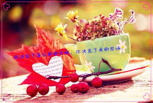 (番外)+(全文)永生花谢,爱意凋零：结局+后续+完本+番外永生花谢,爱意凋零：结局+后续+完本免费阅读无弹窗大结局_永生花谢,爱意凋零：结局+后续+完本结局+番外最新章节列表_笔趣阁永生花谢,爱意凋零：结局+后续+完本