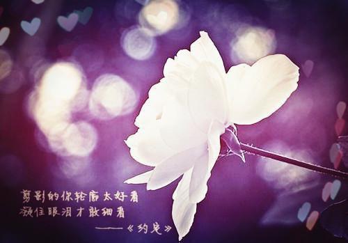 全文浏览日暮青山绿渐隐：完结+番外（许星森纪冰雪许书阳）_日暮青山绿渐隐：完结+番外（许星森纪冰雪许书阳）全文结局