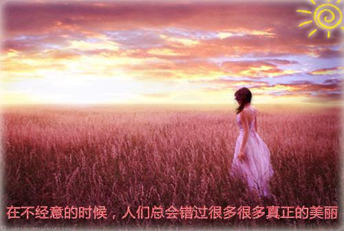 救赎文完结后小说全文免费阅读（傅凌安安）全文免费傅凌安安读无弹窗大结局_(傅凌安安)救赎文完结后小说免费傅凌安安读无弹窗最新章节列表_笔趣阁（傅凌安安）