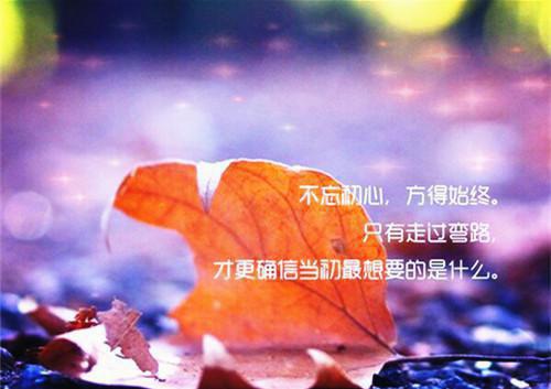 爱在昨日随风逝：结局+番外笔趣阁（姜初檀裴远之）最新章节_爱在昨日随风逝：结局+番外笔趣阁全文阅读