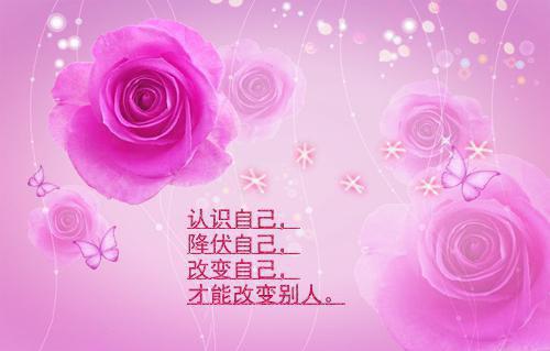且停且忘且随风免费：结局+番外最新章节列表_且停且忘且随风免费：结局+番外全文免费阅读(颜以溪贺宴辞)