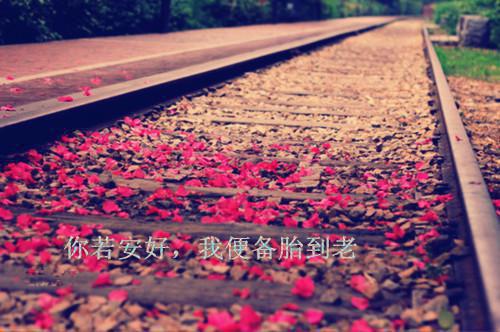夫人死后，杜总哭了七天七夜（唐薇杜贺年）全文免费_（唐薇杜贺年）夫人死后，杜总哭了七天七夜后续阅读（唐薇杜贺年）