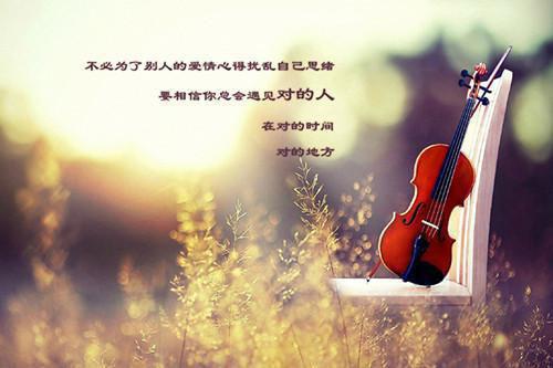人面桃花长相忆：彩蛋阮雾梨闻砚辞推荐完本_已完结人面桃花长相忆：彩蛋（阮雾梨闻砚辞）