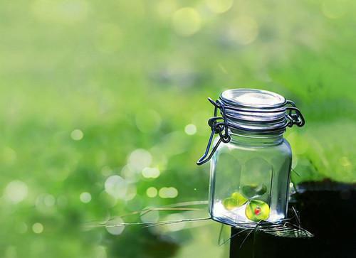 程微雨傅临淮颜若曦篇（又名：此生虽短情意长）已完结_程微雨傅临淮颜若曦篇（又名：此生虽短情意长）最新章节列表