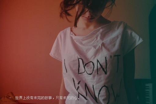 免费追更（白问夏江宴）繁花难入深渊隐藏篇章+续集