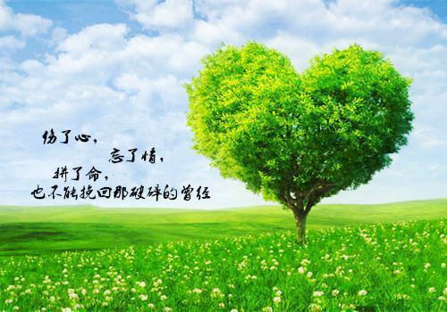 (番外)+(全文)唯有相思无尽处：结局+番外+续集txt下载阅读_(夏之遥傅云霆)唯有相思无尽处：结局+番外+续集免费阅读全文最新章节列表_笔趣阁（夏之遥傅云霆）