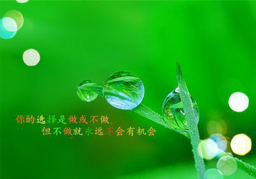 (番外)+(结局)崔鹤归孟令妍江之焕孟令媛（崔鹤归孟令妍）全文免费阅读无弹窗大结局_(崔鹤归孟令妍江之焕孟令媛)最新章节列表_笔趣阁（崔鹤归孟令妍）