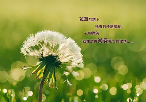 最新章节开学季，室友把我当成第三者（林语迟陈娇言林墨）_开学季，室友把我当成第三者林语迟陈娇言林墨最新章节