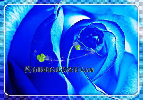 全本山遥路茫茫：结局+番外+完结（鹿青宁商彧）最新章节列表_全本山遥路茫茫：结局+番外+完结全文阅读