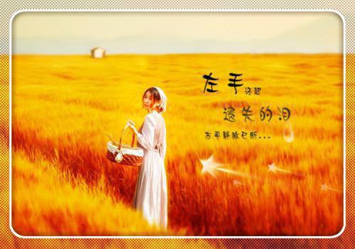 (番外)+(全文)容临渊云朝朝沈清瑶：小说免费全文+后续下载阅读_(容临渊云朝朝沈清瑶)容临渊云朝朝沈清瑶：小说免费全文+后续最新章节列表_笔趣阁（容临渊云朝朝沈清瑶）