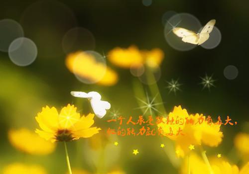 苔藓爬满旧日诺言慕晚夏：已完结_苔藓爬满旧日诺言慕晚夏：最新章节列表
