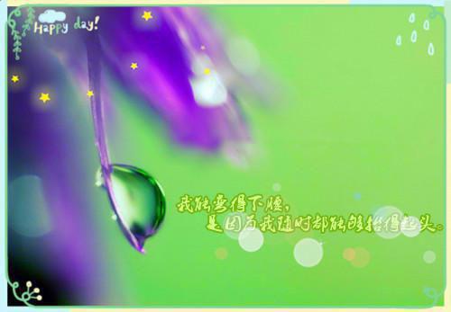 丹田被毁，仙帝系统不许我当废物全文阅读_林炎余婷小说免费阅读