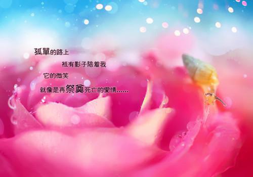 完结许星森纪冰雪许书阳全章节阅读