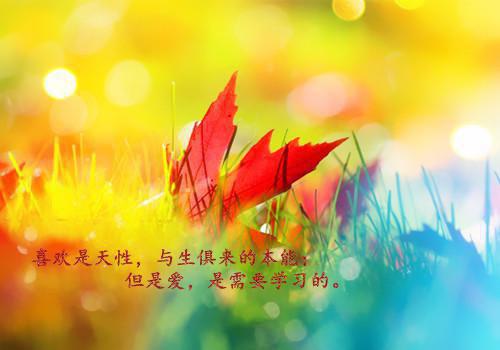 全本在诡异世界怎么带的种田系统（陈时严衡）最新章节列表_全本在诡异世界怎么带的种田系统全文阅读