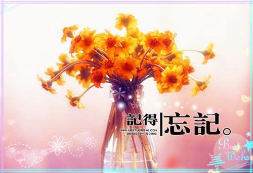长相见长相思：+后续+结局最新小说（傅砚生宋疏影）全文阅读