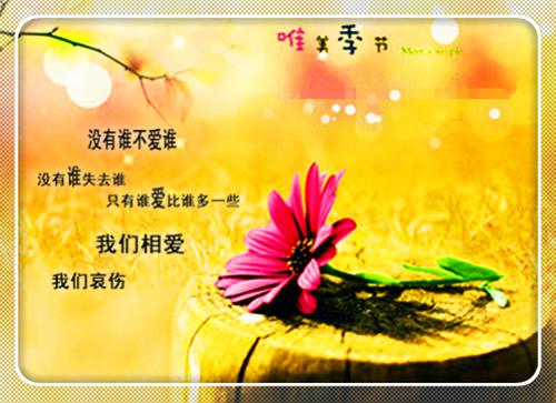 无广告TXT（温愉贺聿风）温愉贺聿风：新上热文全书无套路阅读