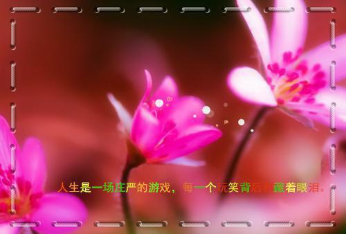 （嬴政,嬴成蟜）唾手可得在线阅读最近更新