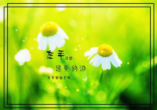 (番外)+(全文)爱恨皆虚妄必读文免费下载阅读_（傅宴安霍青夏）爱恨皆虚妄必读文最新章节列表_笔趣阁（傅宴安霍青夏）