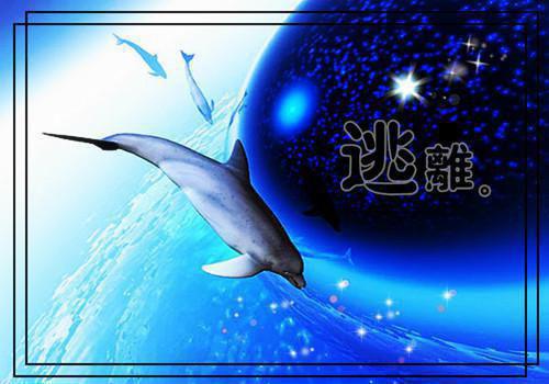 后来我学会了目送：后续必读爽文（许南鸢司墨珩）已完结，后来我学会了目送：后续必读爽文已完结