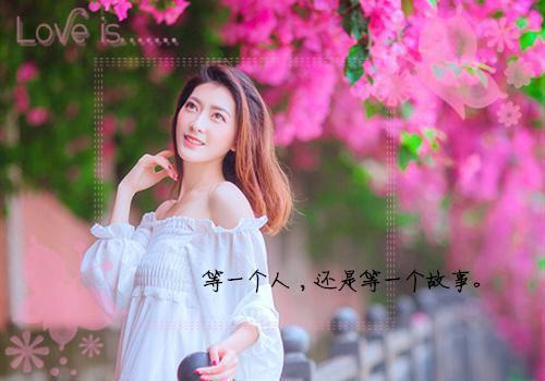 沈望舒程向前（又名：残月照归人）小说 沈望舒程向前（又名：残月照归人）免费阅读