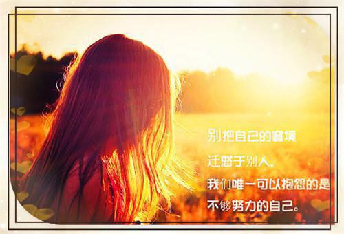 全集完结（阮雾梨闻砚辞）人面桃花长相忆：一口气读完高分完本全书无套路阅读