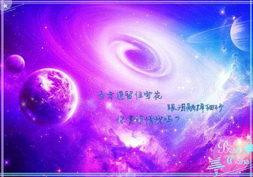 谢尽长安花沈照霜：精心打造爽文（沈照霜宁砚）全章免费版阅读