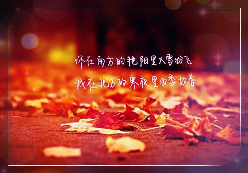 完结文开局四个不孝子？老娘自己当地主最新章节列表_完结文开局四个不孝子？老娘自己当地主全文免费阅读（陈茹徐大牛）