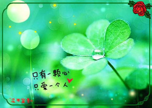 雾色靡靡：好文分享（倪雾裴淮聿）最终终章全书在线下载阅读无干扰