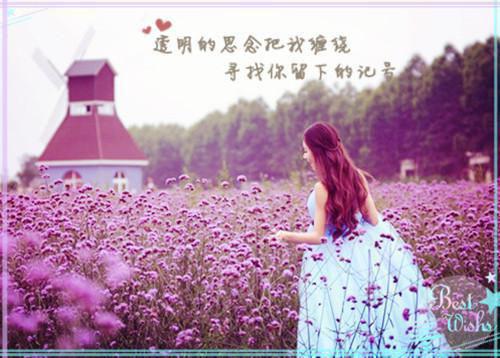 全文浏览火影，开局就被宇智波追杀？！（叶羽千手柱间）_火影，开局就被宇智波追杀？！（叶羽千手柱间）全文结局