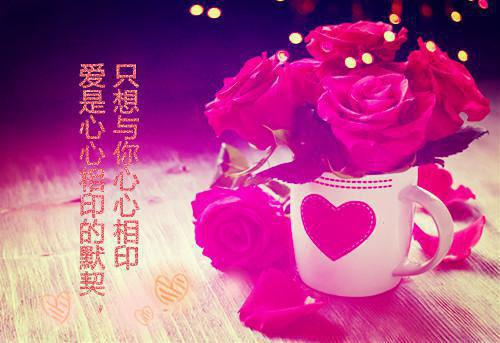 完结文深情难驯最新章节列表_完结文深情难驯全文免费阅读（甘斓梁晋燕）