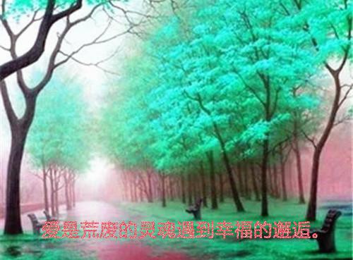 她死后成了小叔白月光：+后续+结局（许清欢魏修竹）已完结，她死后成了小叔白月光：+后续+结局已完结