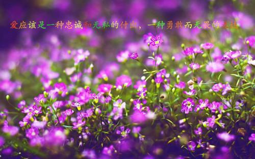 陆太太，你还有多少马甲没有爆（乔鸢）全文免费_（乔鸢）陆太太，你还有多少马甲没有爆后续阅读（乔鸢）