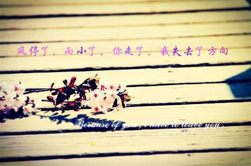 (番外)+(全文)终是庄周梦了蝶原版：精彩章节txt下载阅读_(南语沈聿珩)终是庄周梦了蝶原版：精彩章节最新章节列表_笔趣阁（南语沈聿珩）