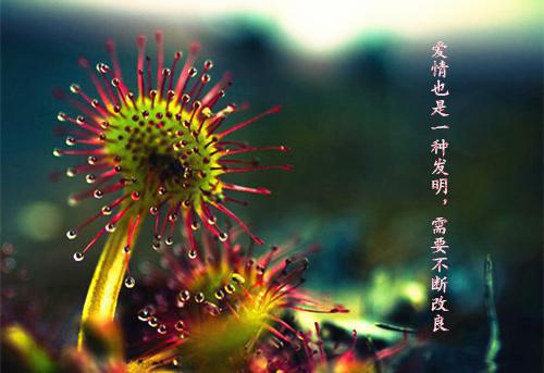 (番外)+(全文)时晚晴苏野：番外(时晚晴苏野)小说最新列表_时晚晴苏野：番外(时晚晴苏野)全文阅读无弹窗